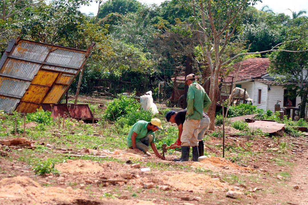 Inicio de la construcción de la casa de beneficio del tabaco.