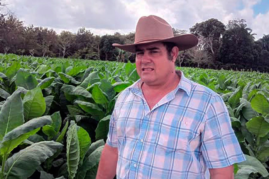 Misael Machado, productor agrícola.