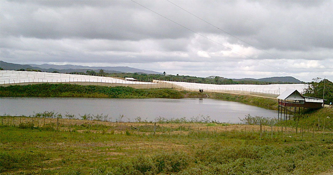 Tranques de agua para el riego.
