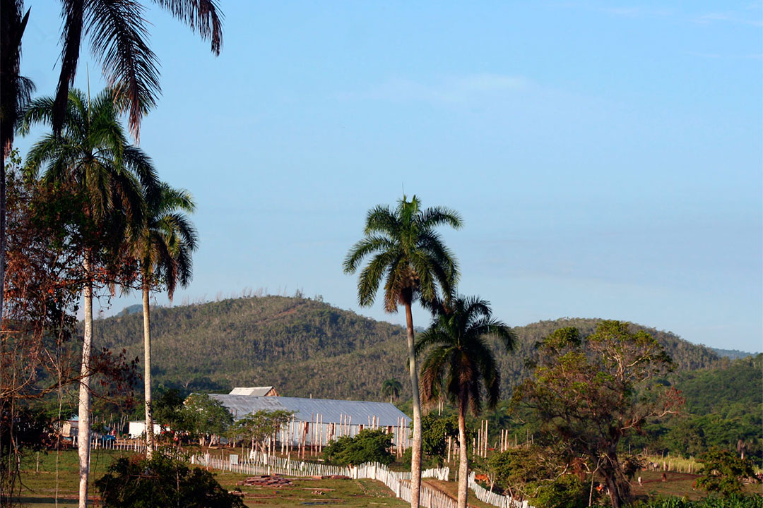 Finca San Miguel del Bayo.