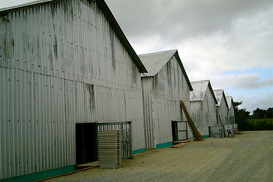 Casa de curación de tabaco.