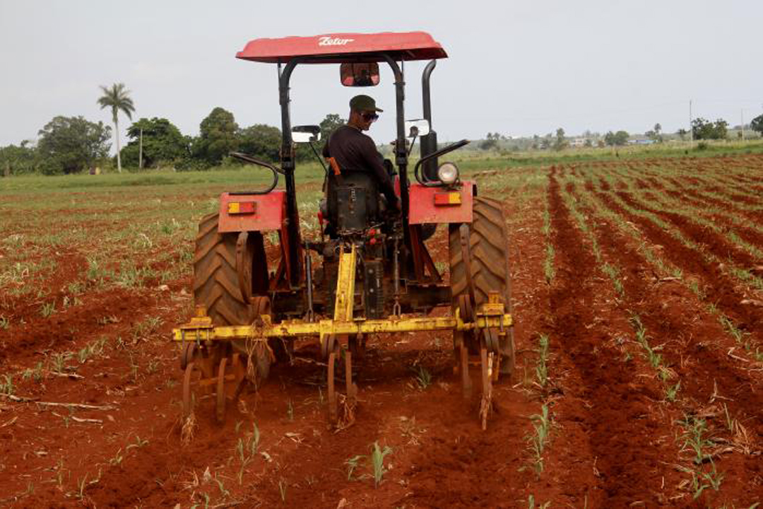 Vanguardia - Villa Clara - Cuba