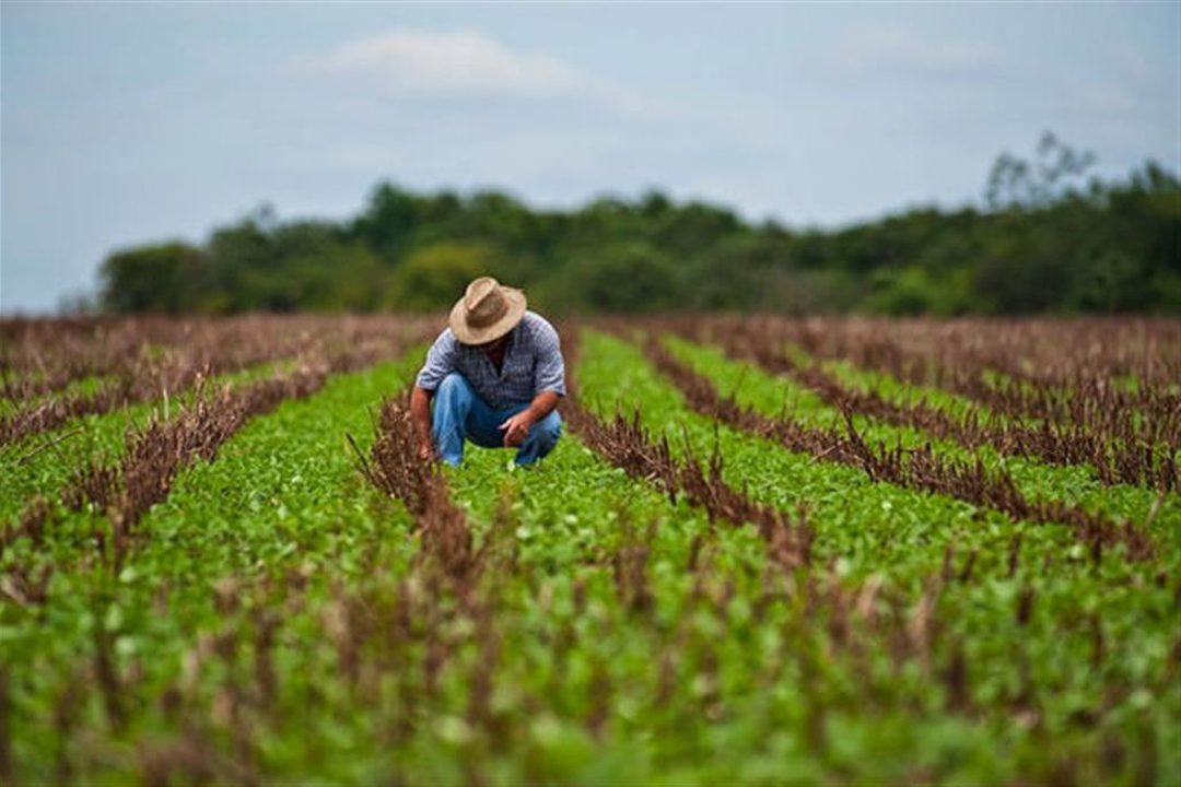 Vanguardia - Villa Clara - Cuba