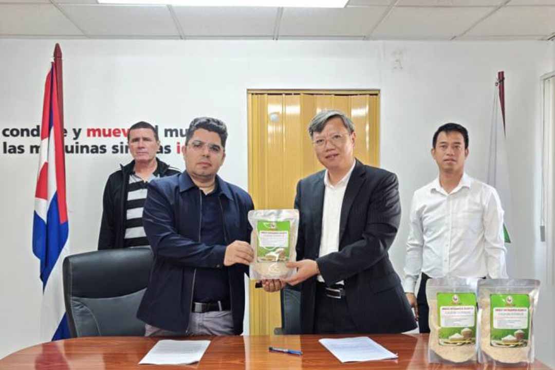 Vanguardia - Villa Clara - Cuba