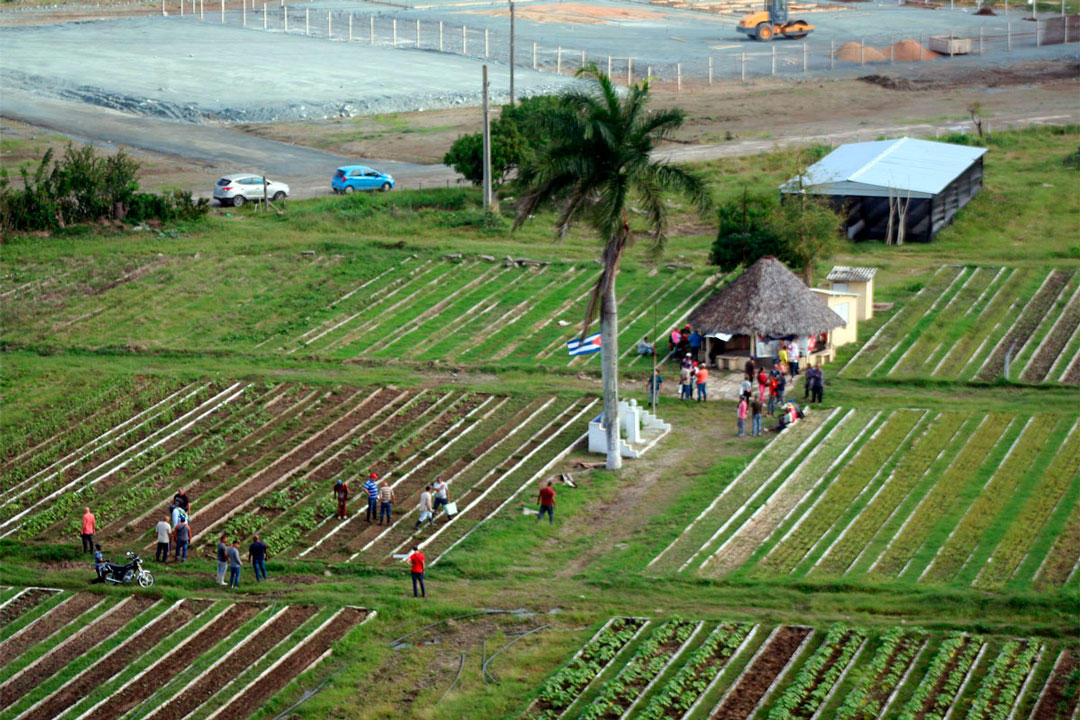 Vista aérea del organopónico La Riviera.