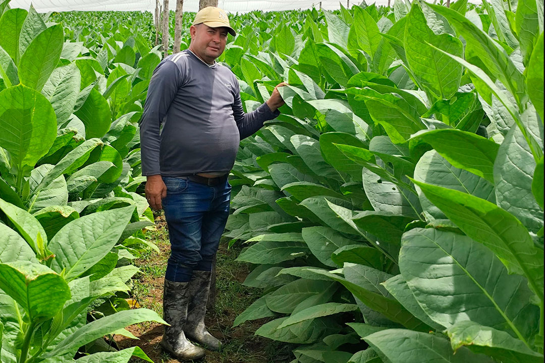 Vanguardia - Villa Clara - Cuba