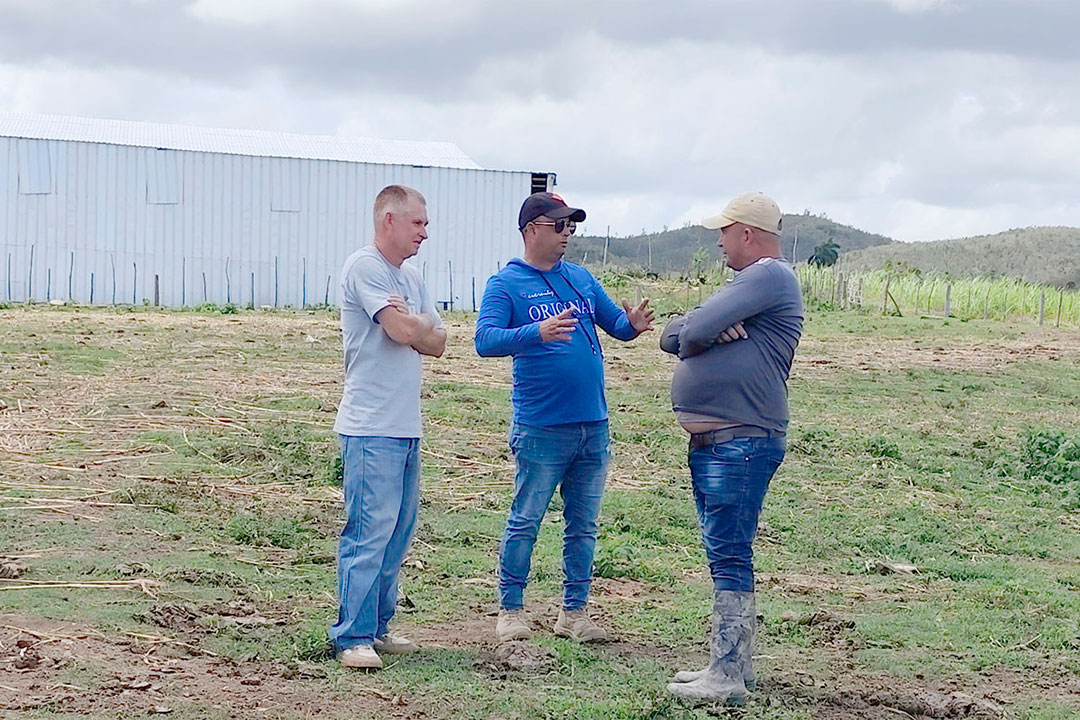 Productor Dainiel Ruiz, junto a especialistas de Tabaco y de Recursos Hidráulicos, analizan instalación de nuevo sistema de riego.