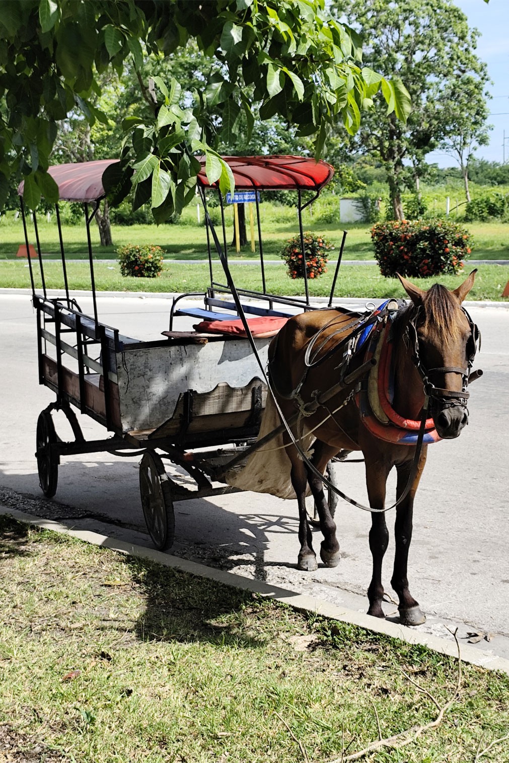 Carretón de caballo.