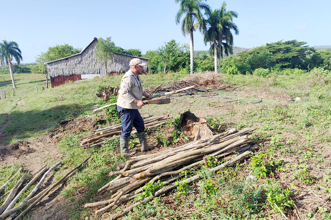 Labores en la finca.