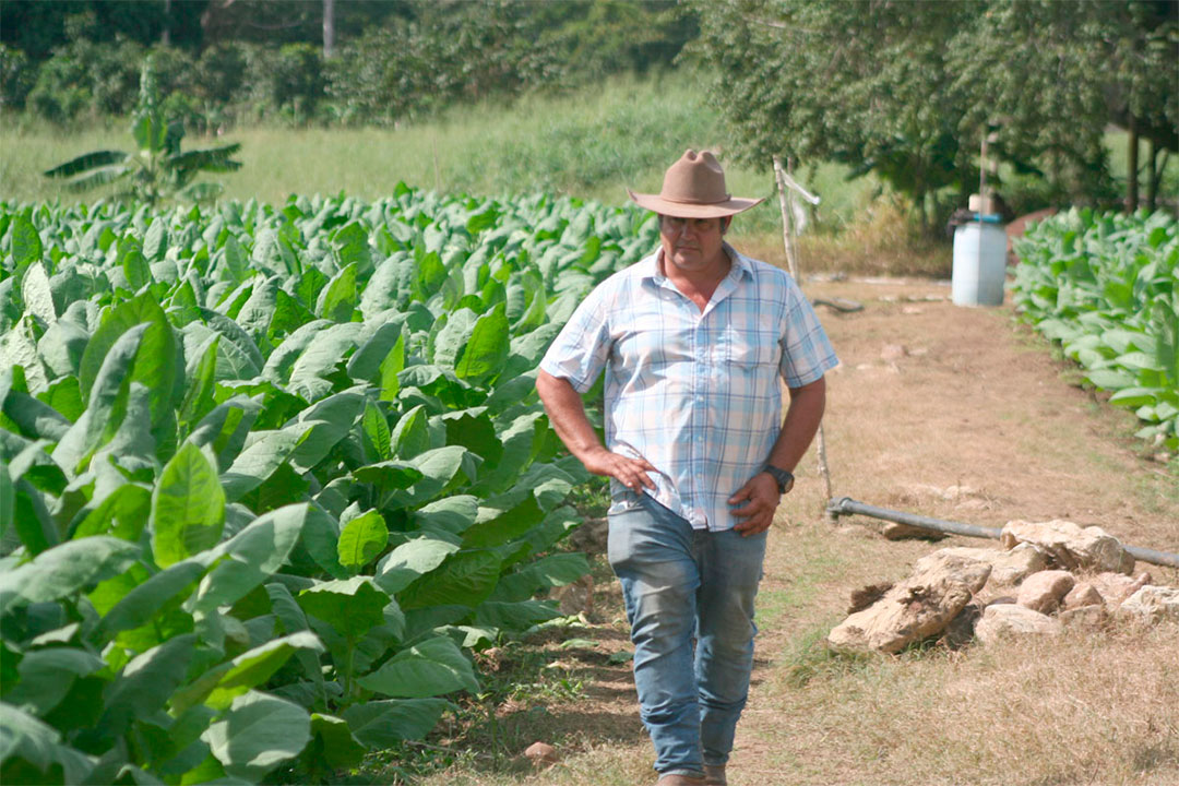 Campesino Misael Machado.