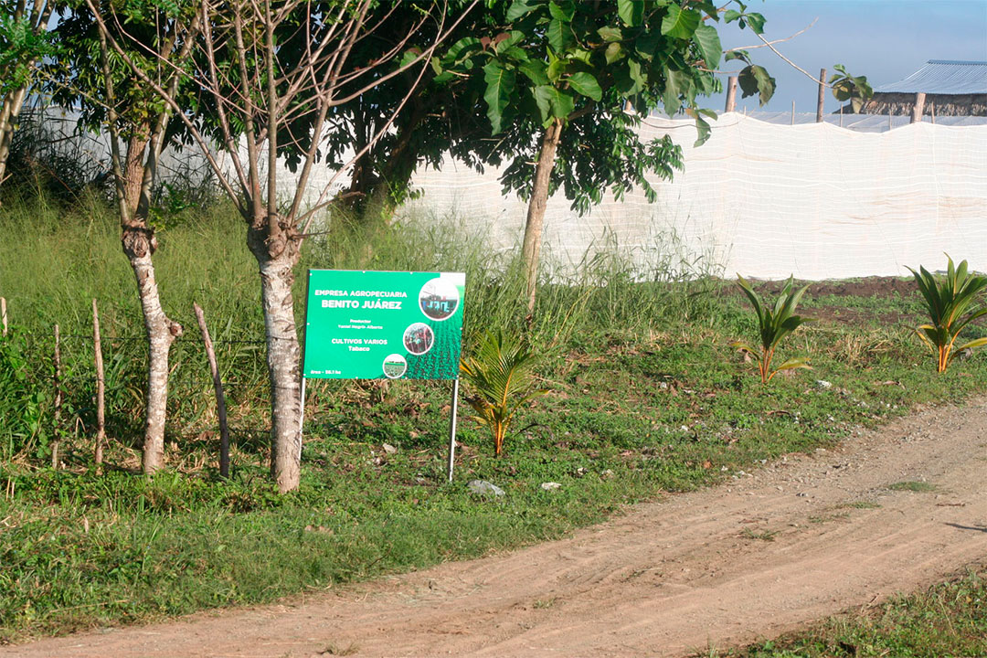 Finca Renacer, de Yaniel Negrín, en Placetas.