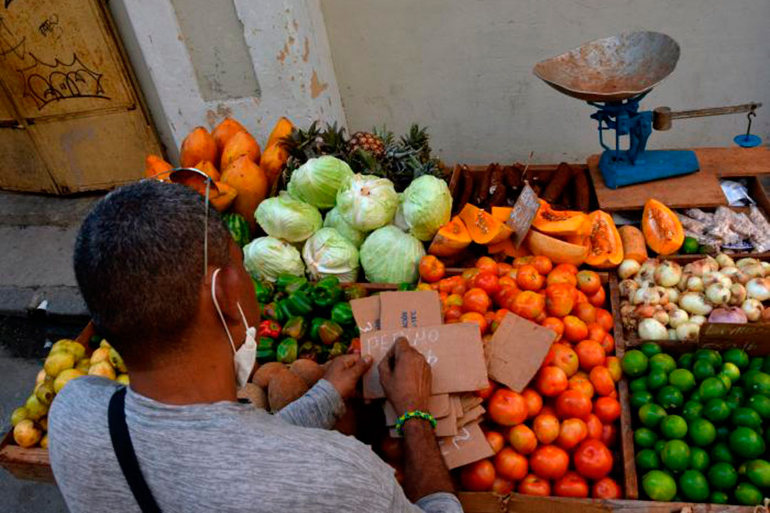 Vendedor de productos agropecuarios.