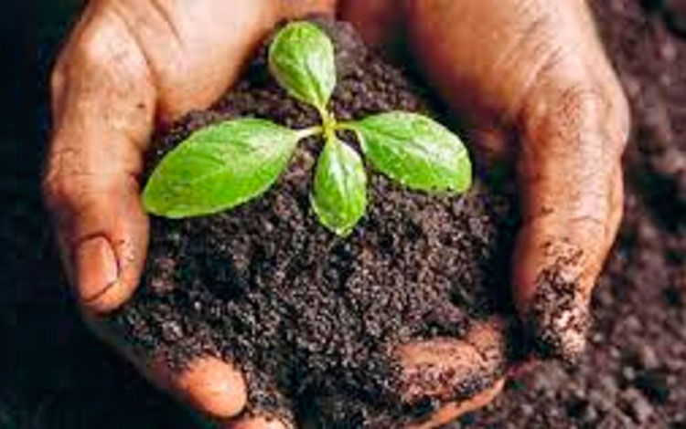 El CBQ agroGET producido por el Centro de Bioactivos Químicos de la UCLV.