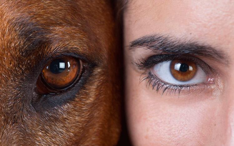 Perro y mujer