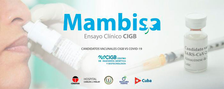 Mambisa, candidato vacunal cubano contra la COVID-19 desarrollado por el Centro de Ingeniería Genética y Biotecnología. Mambisa, candidato vacunal cubano contra la COVID-19 desarrollado por el Centro de Ingeniería Genética y Biotecnología.