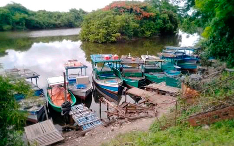 Desde este sábado, las embarcaciones se encuentran protegidas en la Base de Pesca. (Foto: Reinaldo Cañizares Mesa)