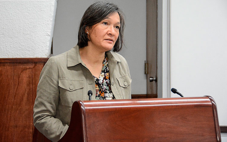 Silvia Schwaag Serger, miembro del Consejo de Innovación del Gobierno de Suecia. Silvia Schwaag Serger, miembro del Consejo de Innovación del Gobierno de Suecia.