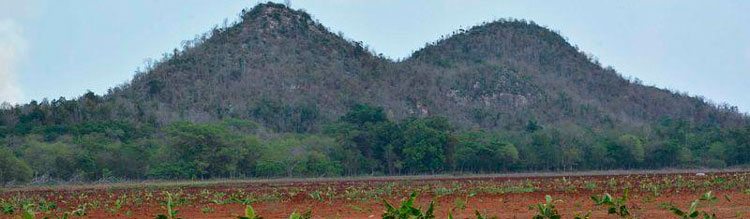 Mogotes de Jumagua, en Sagua la Grande. Mogotes de Jumagua, en Sagua la Grande.