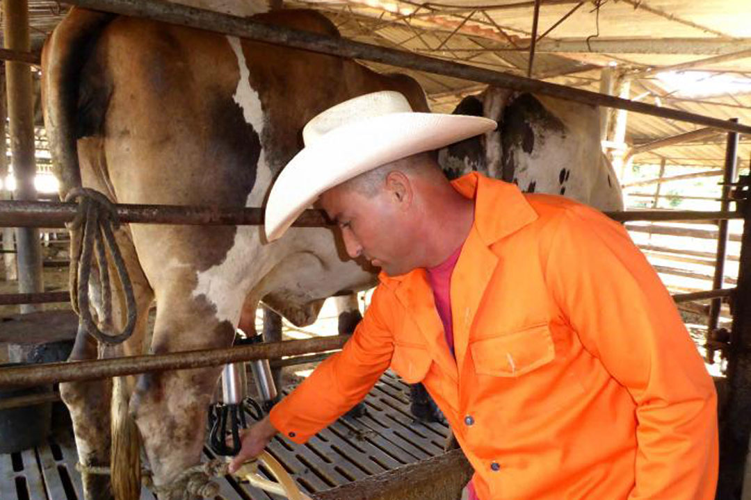  Trabajador en la extracción de leche