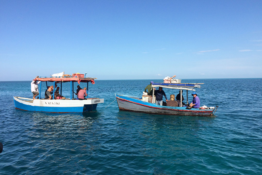 Botes de pesca.
