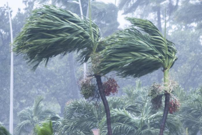 Vanguardia - Villa Clara - Cuba