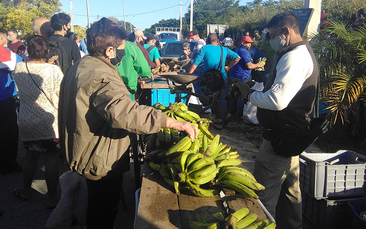 Venta de viandas y vegetales en la fiesta de fin de año en Santa Clara.
