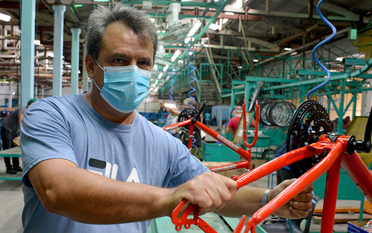 David Rodrí­guez Seijas, director adjunto de Ciclos Minerva, anunció que ya se ensamblan las primeras mil bicicletas, del modelo MTB 26â€ por 18 velocidades y diámetro 40.
