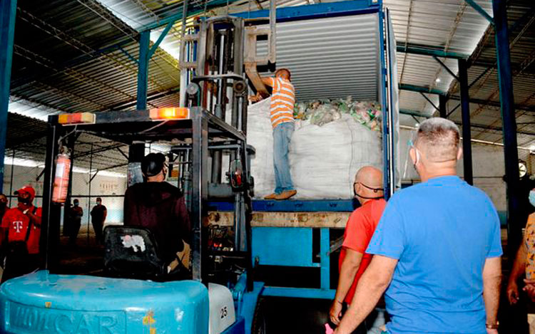 comenzará su distribución en las próximas horas por Corralillo.