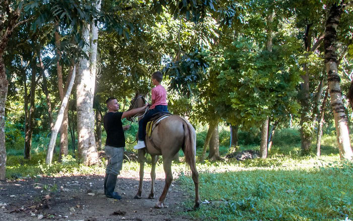 Paseos a caballo en el complejo recreativo Arcoíris. Paseos a caballo en el complejo recreativo Arcoíris.