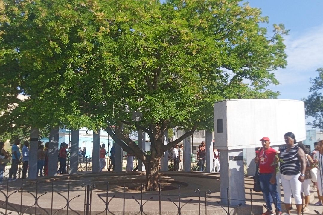 Monumento al tamarindo fundacional.
