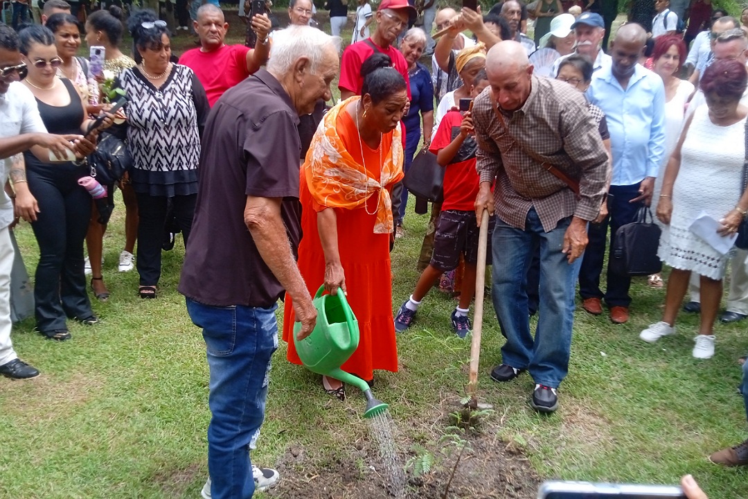 Siembra del tamarindo por el aniversario 336 de Santa Clara.