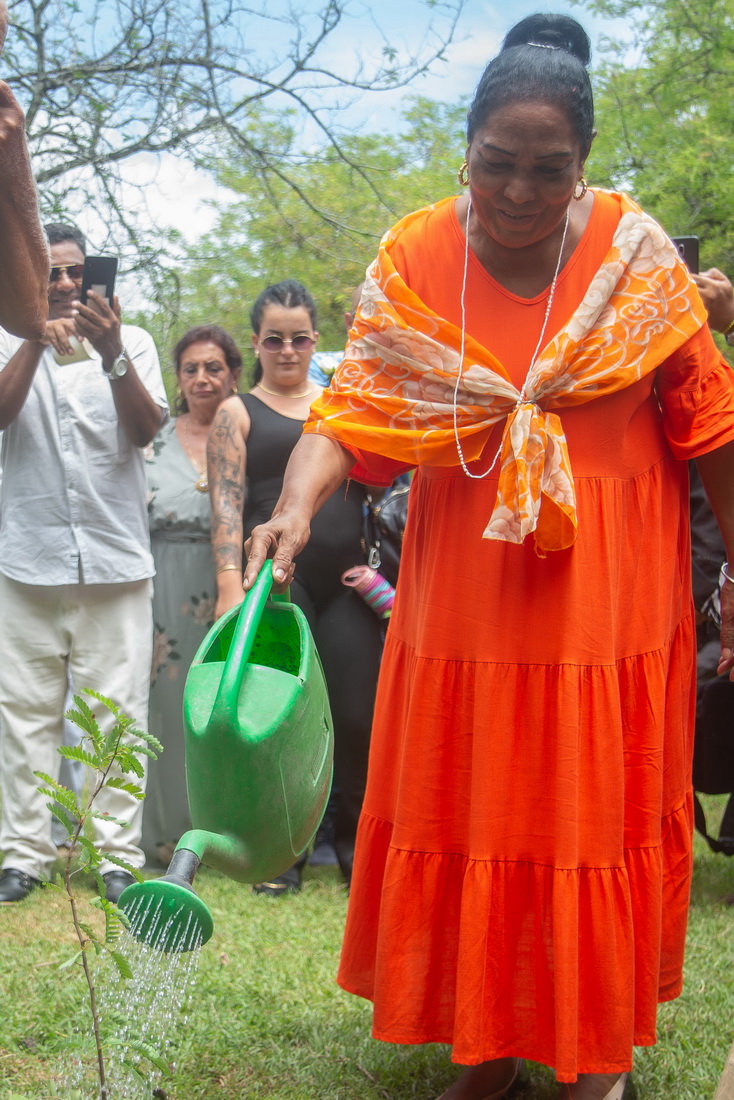 Marta Meneses riega el tamarindo recién sembrado.