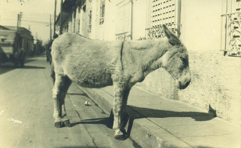 Vanguardia - Villa Clara - Cuba