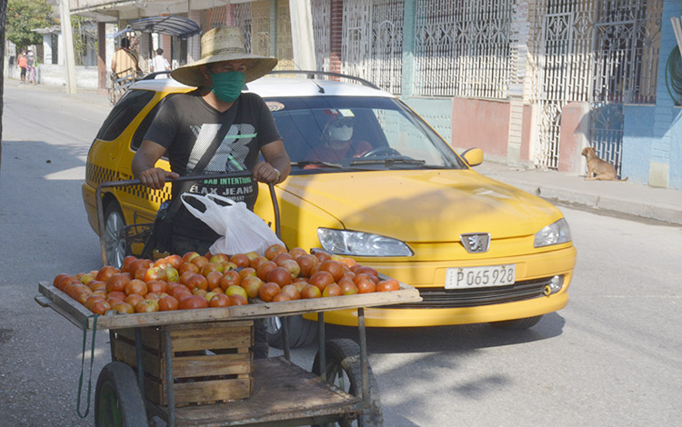 Productos del agro.