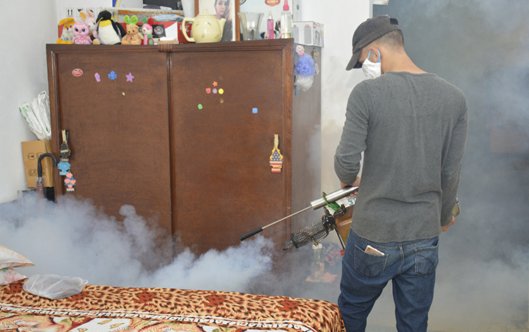 Fumigación contra el mosquito Aedes aegypti. Fumigación contra el mosquito Aedes aegypti.
