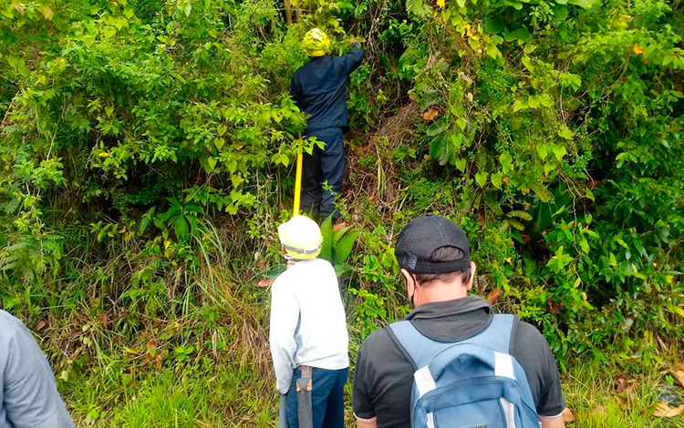 Trabajadores de la Empresa Eléctrica trabajan en las líneas de las zonas montañosas de Manicaragua.