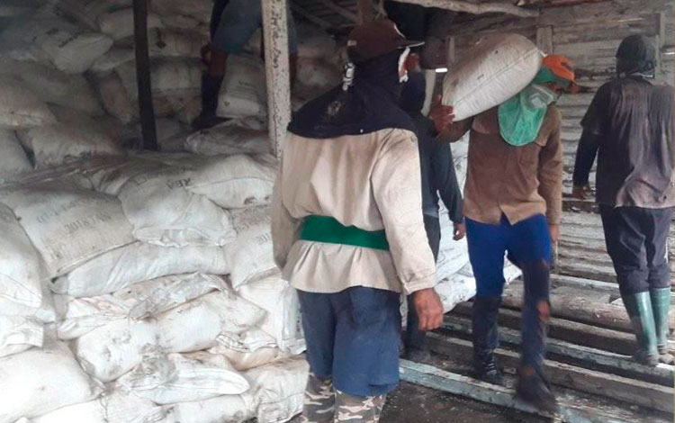 En el consejo popular El Santo, Encrucijada, los campesinos preservan la cosecha de arroz.