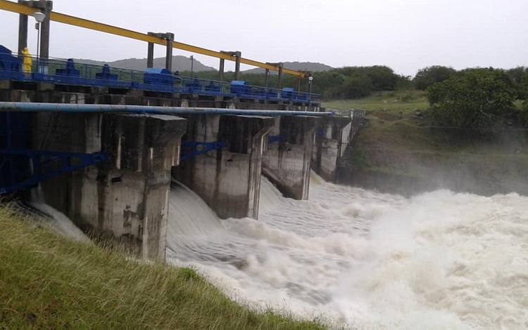 Presa Palmarito
