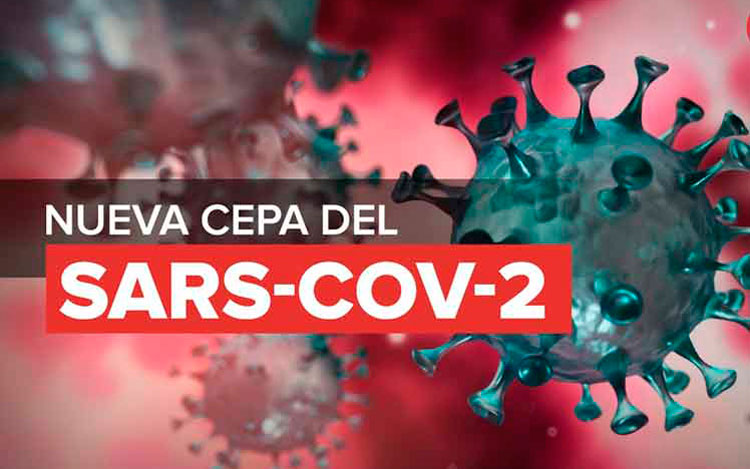 Nueva Cepa