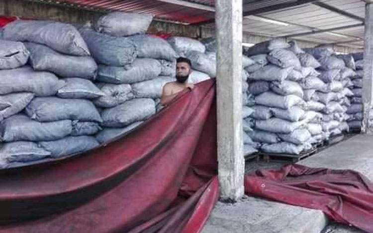 Preservación de los recursos materiales en Corralillo, Villa Clara, ante el peligro de la tormenta tropical Elsa.
