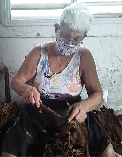 Melitina íguila Ruiz, despalilladora de escogida de Manicaragua,