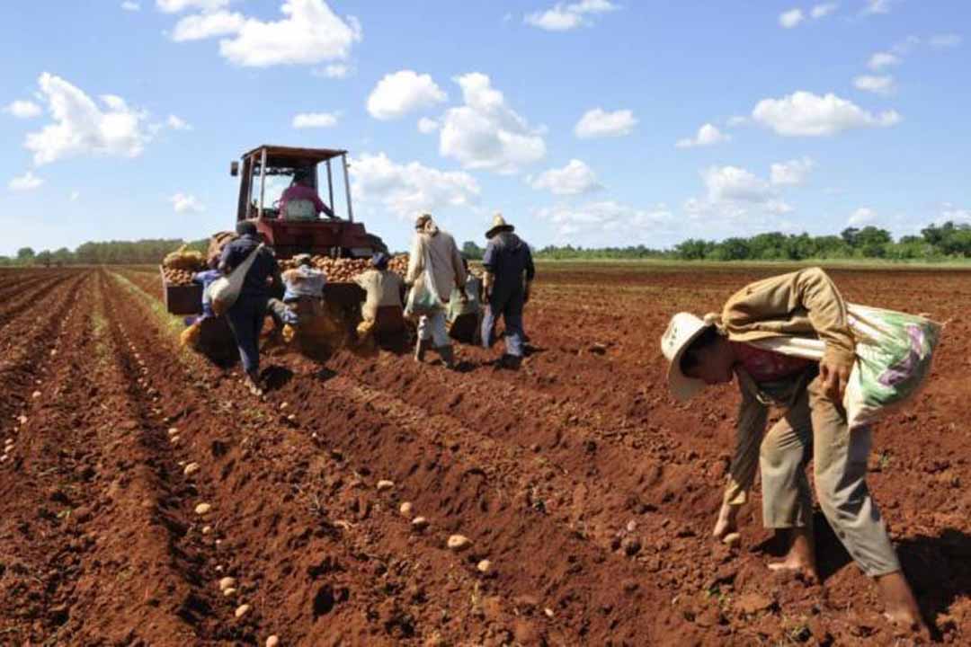 Vanguardia - Villa Clara - Cuba