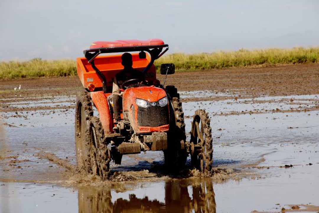 Vanguardia - Villa Clara - Cuba