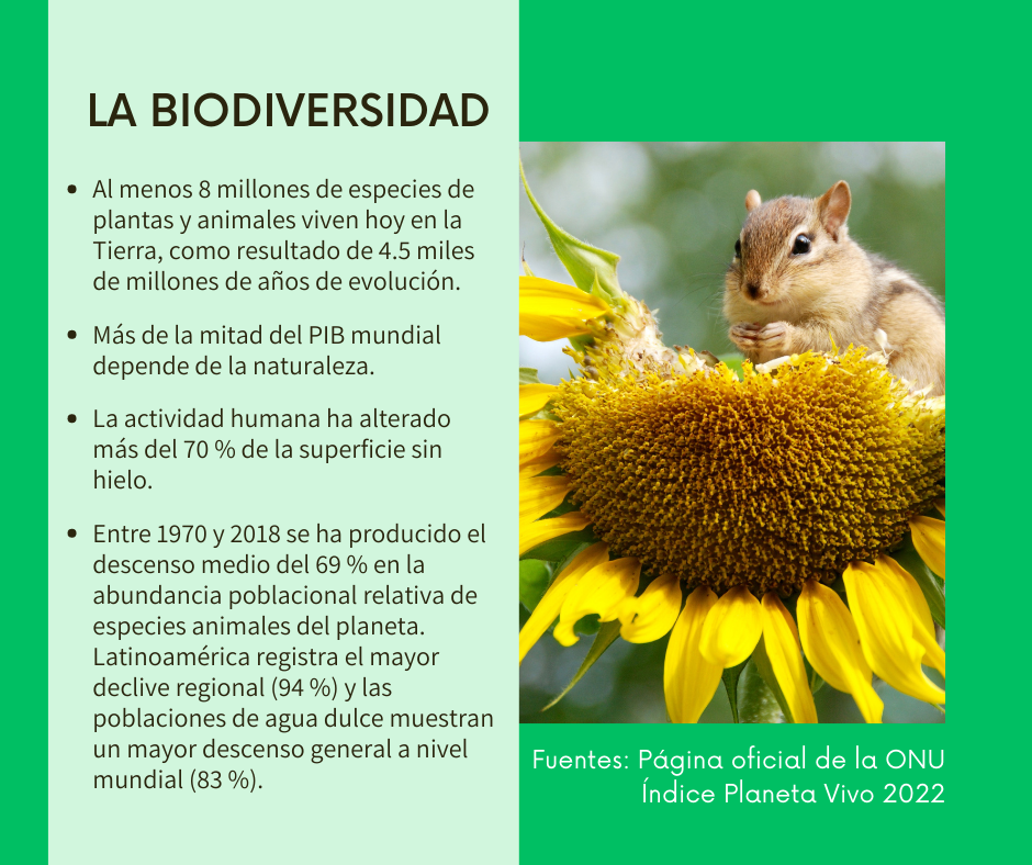 Datos sobre la biodiversidad en el planeta.