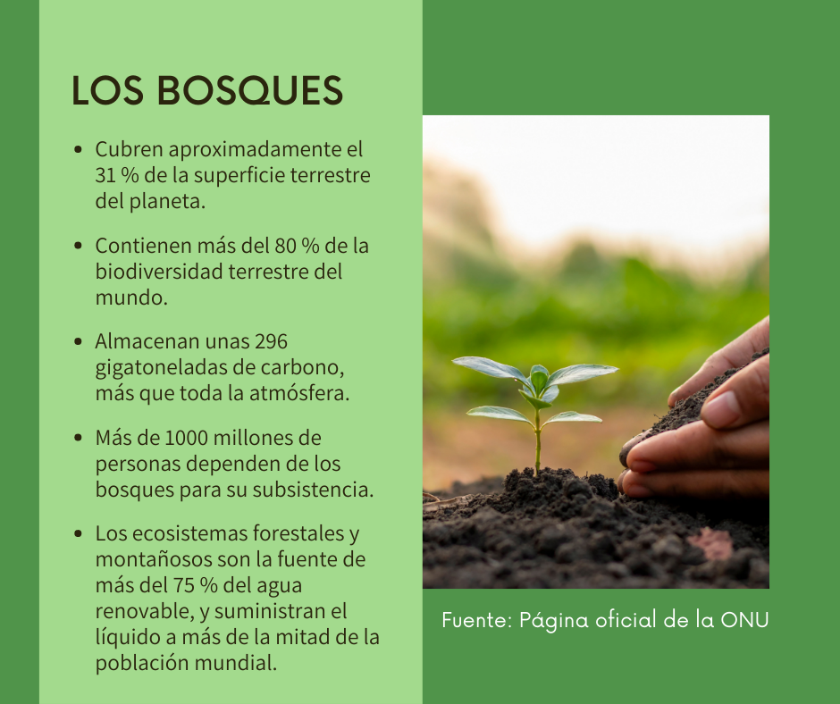 Estadísticas sobre los bosques en el planeta.