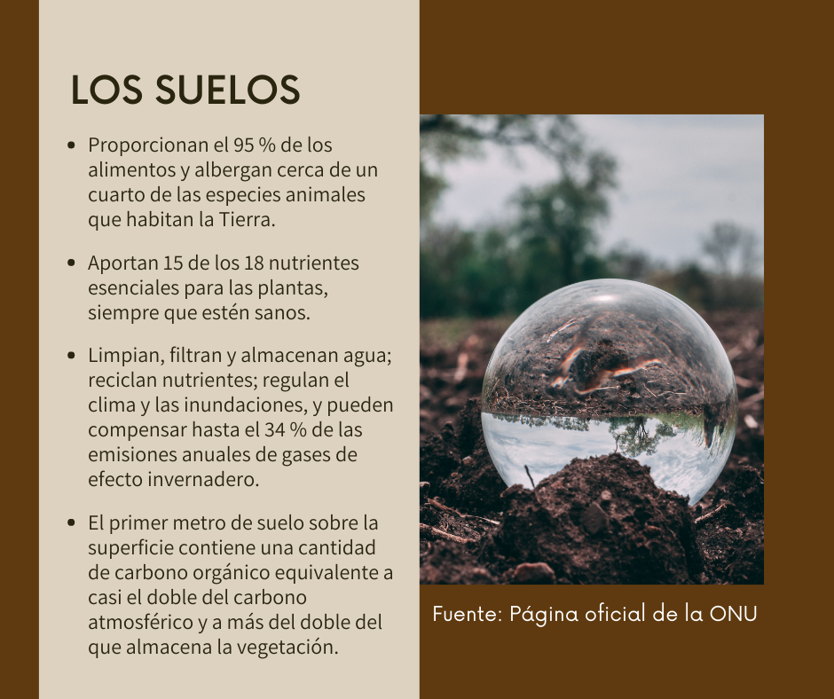 Situación de los suelos en el planeta.