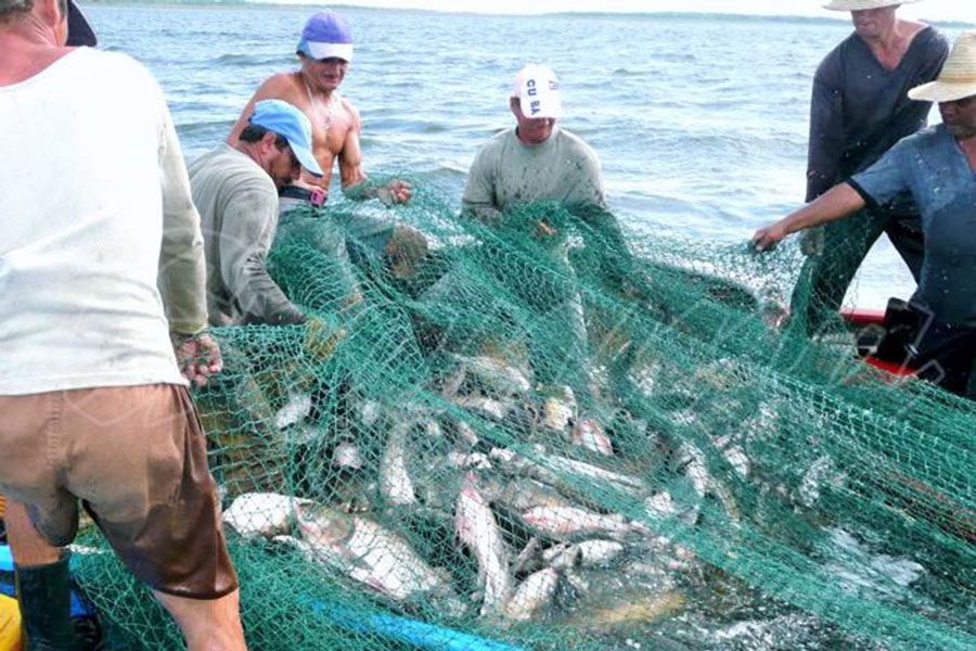 Trabajadores de la pesca.