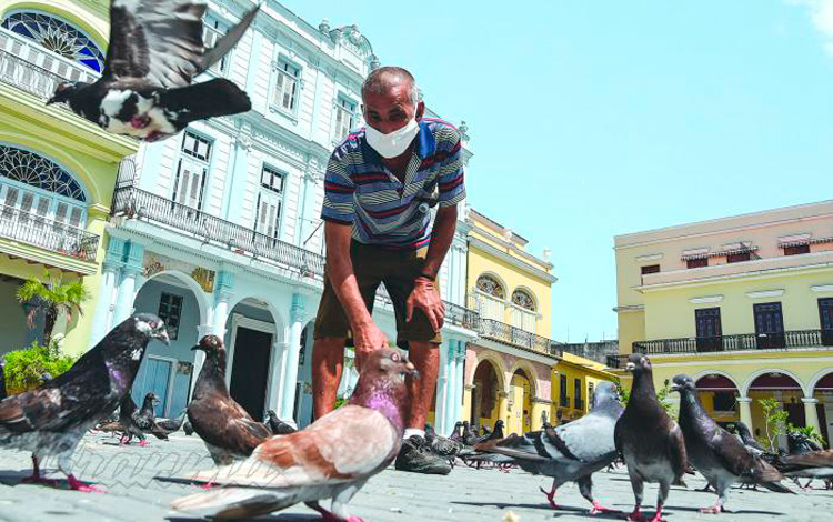 Foto: Ariel Cecilio Lemus