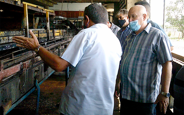 A pesar de las limitaciones de recursos materiales las reparaciones está a un 81% de ejecución, y los primeros ejercicios de zafra de harán a partir de noviembre. (Foto Luis Machado Ordetx). A pesar de las limitaciones de recursos materiales las reparaciones está a un 81% de ejecución, y los primeros ejercicios de zafra de harán a partir de noviembre. (Foto Luis Machado Ordetx).