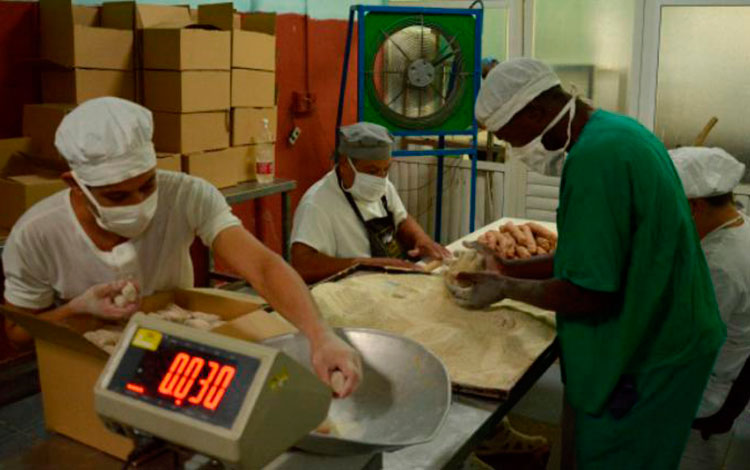Producción de alimentos en Cuba.